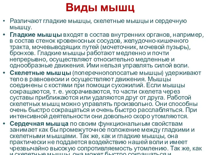 Виды мышц Различают гладкие мышцы, скелетные мышцы и сердечную мышцу. Гладкие