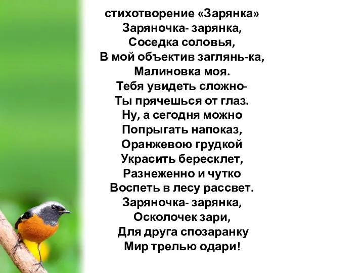 стихотворение «Зарянка» Заряночка- зарянка, Соседка соловья, В мой объектив заглянь-ка, Малиновка