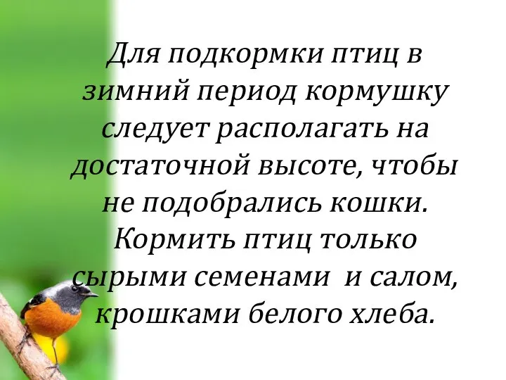 Для подкормки птиц в зимний период кормушку следует располагать на достаточной