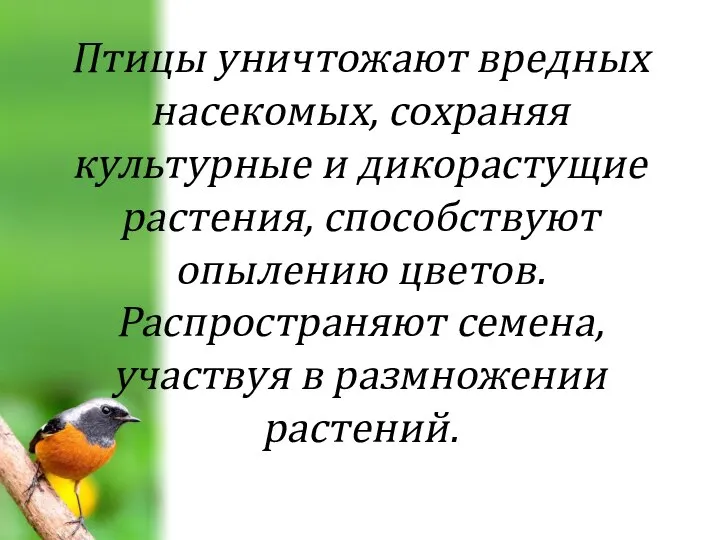 Птицы уничтожают вредных насекомых, сохраняя культурные и дикорастущие растения, способствуют опылению