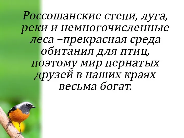 Россошанские степи, луга, реки и немногочисленные леса –прекрасная среда обитания для