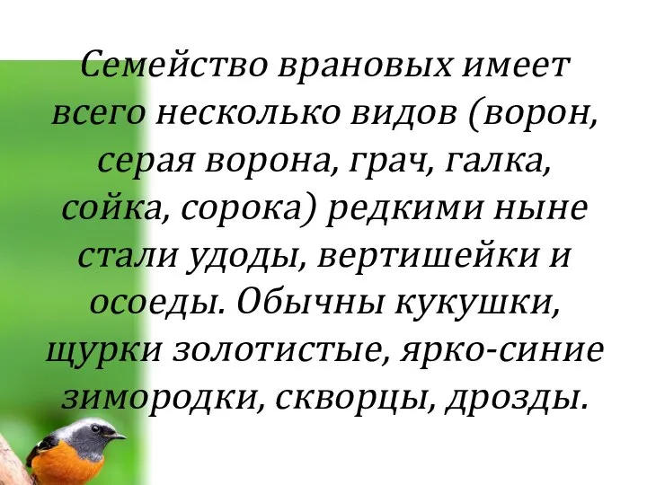 Семейство врановых имеет всего несколько видов (ворон, серая ворона, грач, галка,