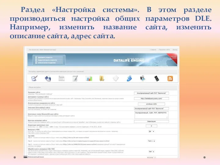 Раздел «Настройка системы». В этом разделе производиться настройка общих параметров DLE.