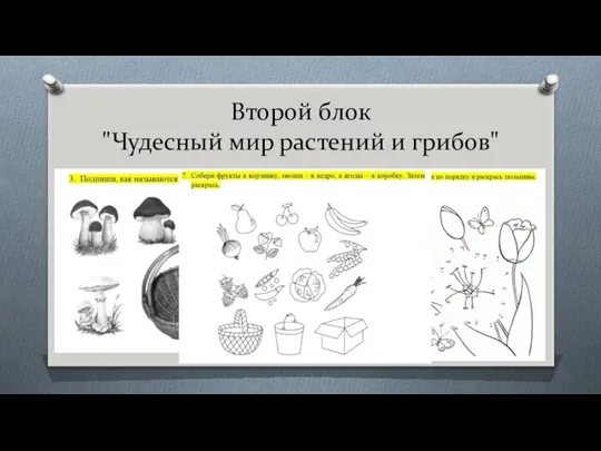 Второй блок "Чудесный мир растений и грибов" Второй блок состоит из