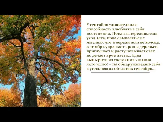 У сентября удивительная способность влюблять в себя постепенно. Пока ты переживаешь