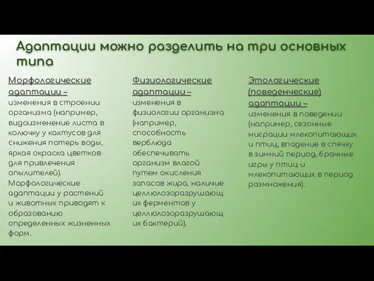 Адаптации можно разделить на три основных типа Морфологические адаптации – изменения