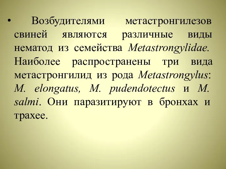 Возбудителями метастронгилезов свиней являются различные виды нематод из семейства Metastrongylidae. Наиболее