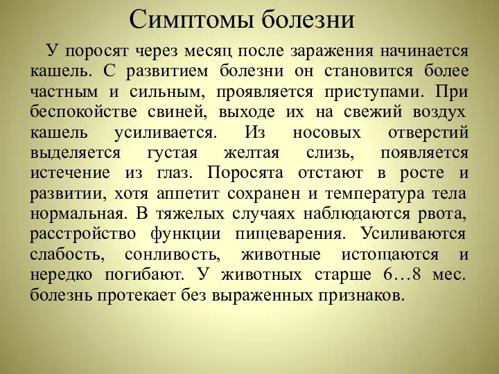 Симптомы болезни У поросят через месяц после заражения начинается кашель. С