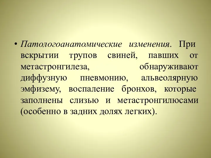 Патологоанатомические изменения. При вскрытии трупов свиней, павших от метастронгилеза, обнаруживают диффузную