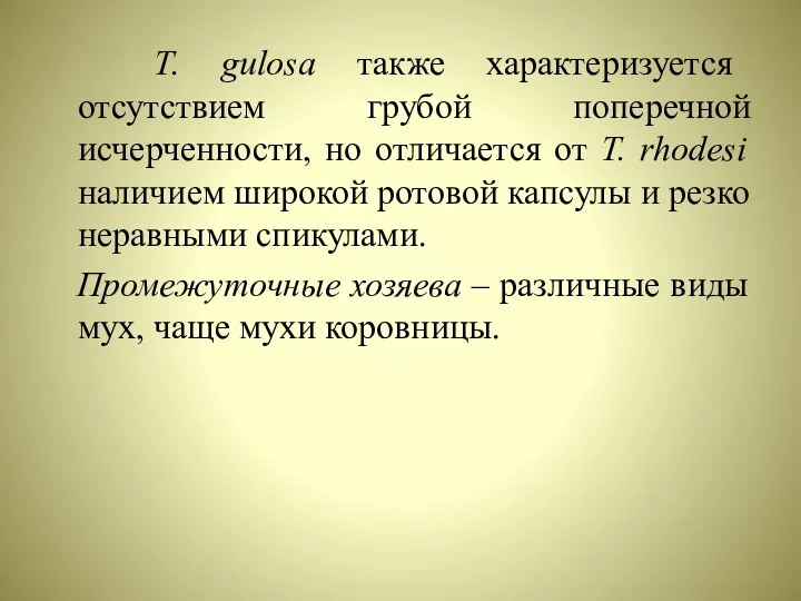 T. gulosa также характеризуется отсутствием грубой поперечной исчерченности, но отличается от