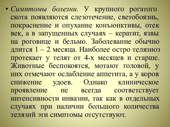 Симптомы болезни. У крупного рогатого скота появляются слезотечение, светобоязнь, покраснение и