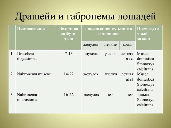 Драшейи и габронемы лошадей