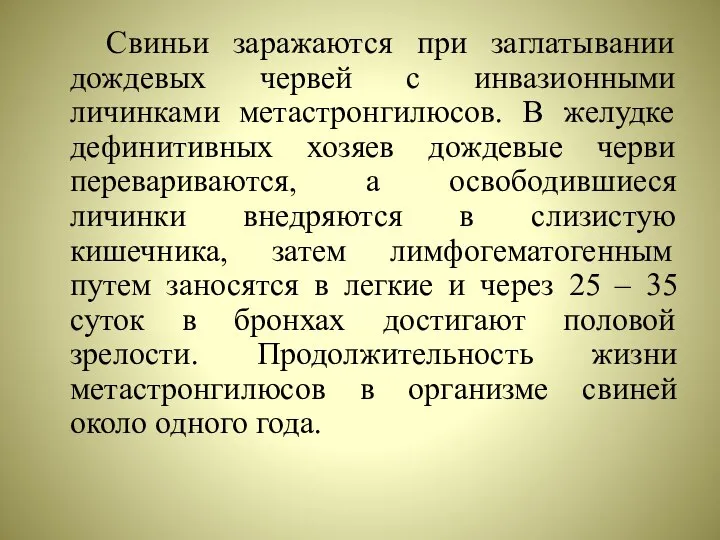 Свиньи заражаются при заглатывании дождевых червей с инвазионными личинками метастронгилюсов. В