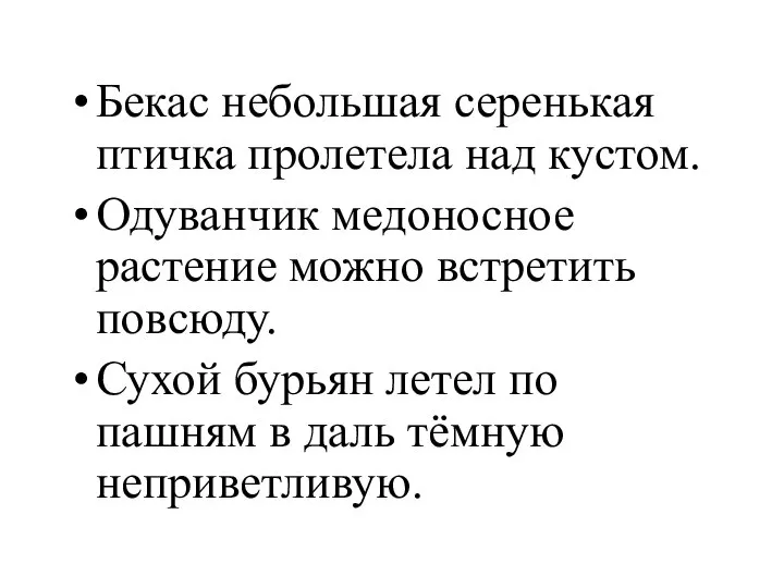 Бекас небольшая серенькая птичка пролетела над кустом. Одуванчик медоносное растение можно