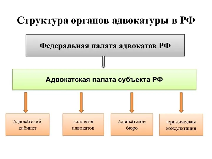 Федеральная палата адвокатов РФ Адвокатская палата субъекта РФ адвокатский кабинет коллегия