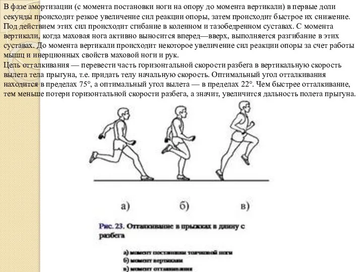 В фазе амортизации (с момента постановки ноги на опору до момента