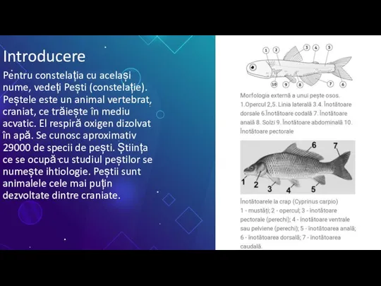 Introducere Pentru constelația cu același nume, vedeți Pești (constelație). Peștele este