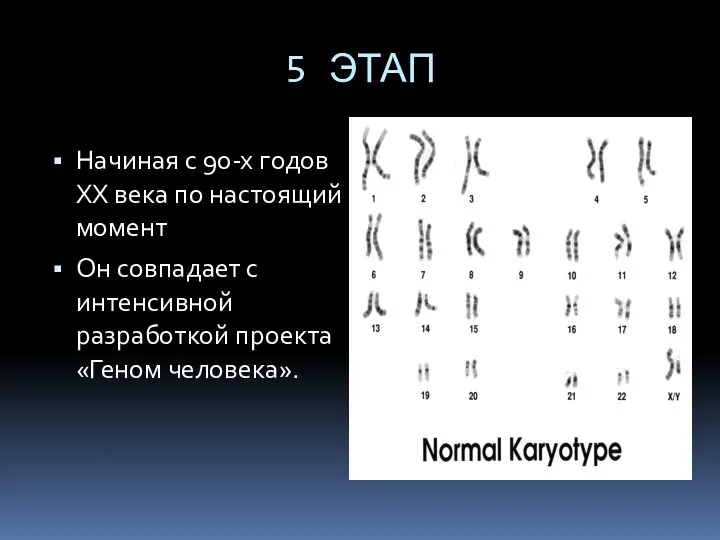 5 ЭТАП Начиная с 90-х годов XX века по настоящий момент