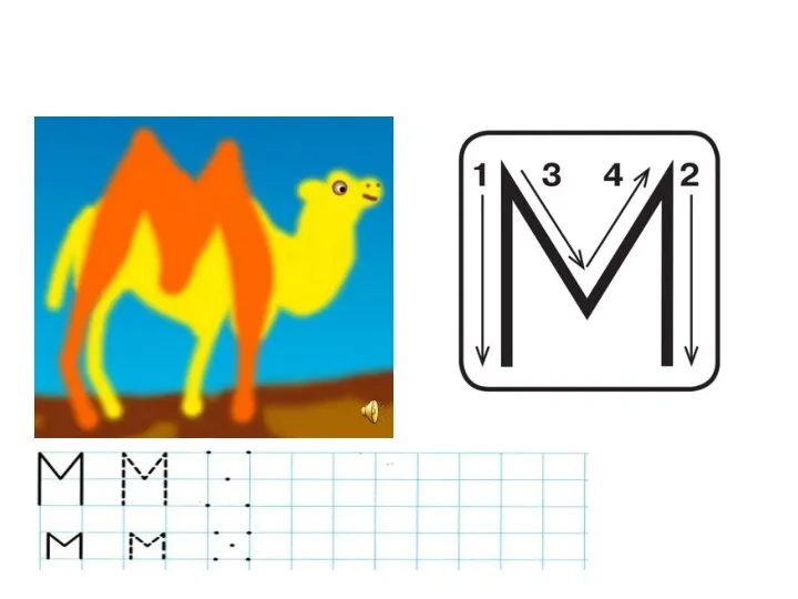 Буква М с двумя горбами, Как верблюд — смотрите сами!