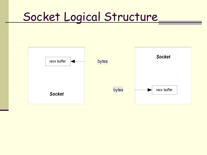 Socket Logical Structure