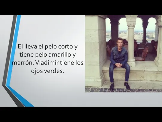 El lleva el pelo corto y tiene pelo amarillo y marrón. Vladimir tiene los ojos verdes.