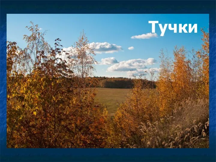 Тучки