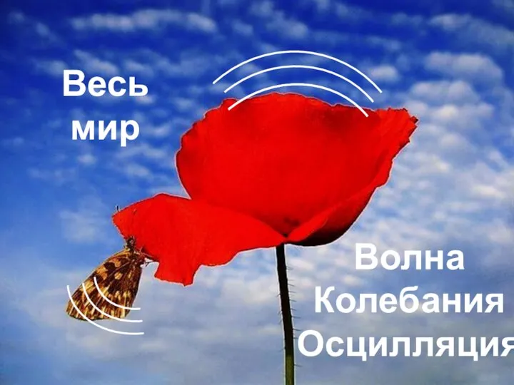 Весь мир Волна Колебания Осцилляция