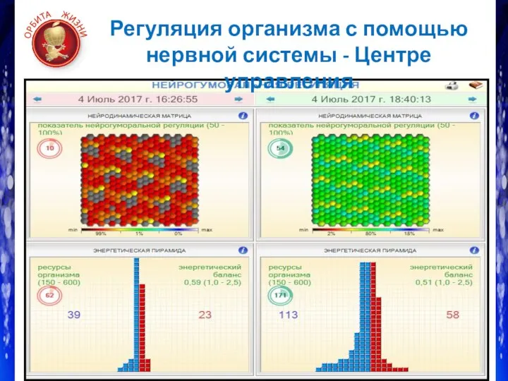 Регуляция организма с помощью нервной системы - Центре управления