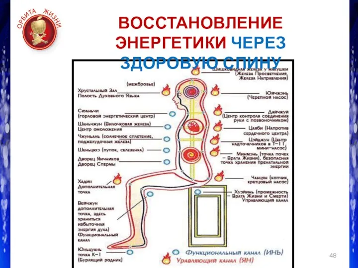 ВОССТАНОВЛЕНИЕ ЭНЕРГЕТИКИ ЧЕРЕЗ ЗДОРОВУЮ СПИНУ