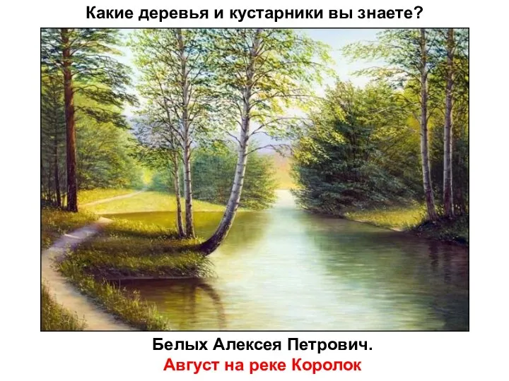 Какие деревья и кустарники вы знаете? Белых Алексея Петрович. Август на реке Королок