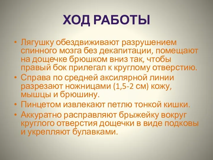 ХОД РАБОТЫ Лягушку обездвиживают разрушением спинного мозга без декапитации, помещают на