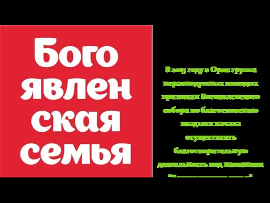 В 2015 году в Орле группа неравнодушных молодых прихожан Богоявленского собора