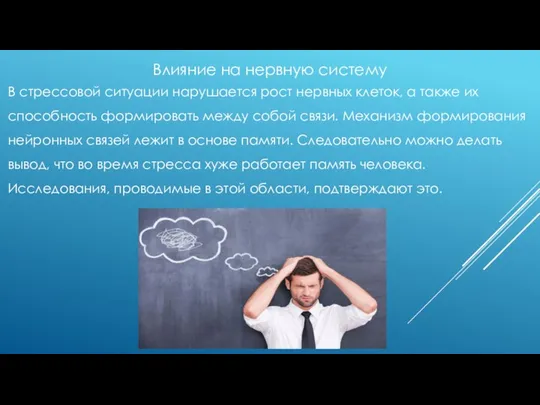 Влияние на нервную систему В стрессовой ситуации нарушается рост нервных клеток,