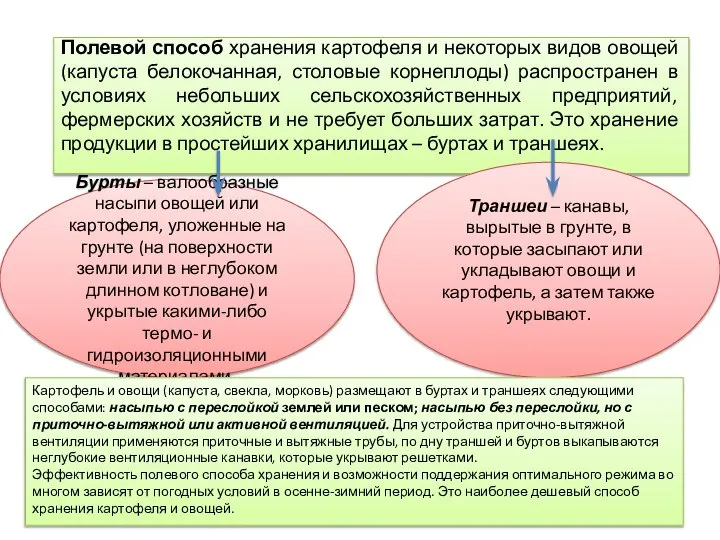 Полевой способ хранения картофеля и некоторых видов овощей (капуста белокочанная, столовые