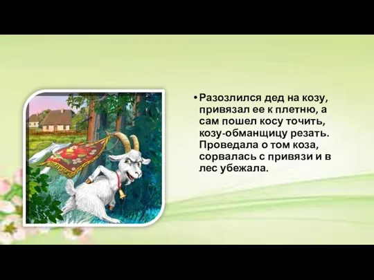 Разозлился дед на козу, привязал ее к плетню, а сам пошел