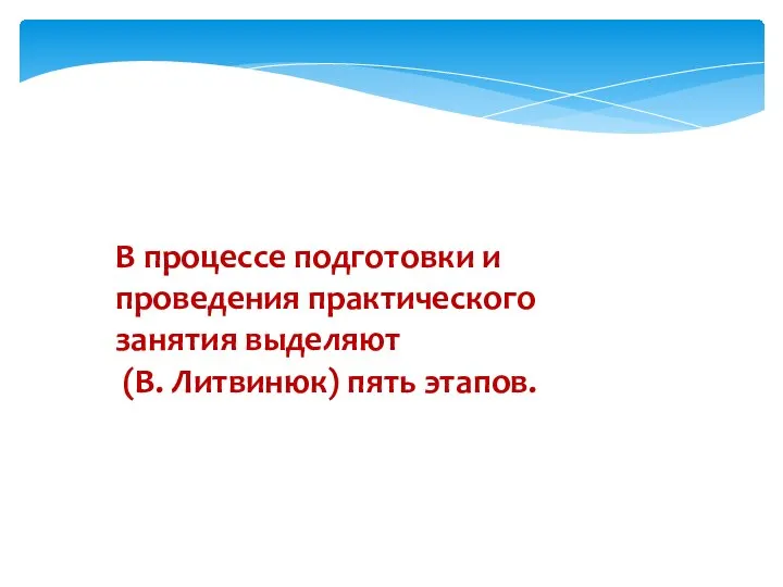 В процессе подготовки и проведения практического занятия выделяют (В. Литвинюк) пять этапов.