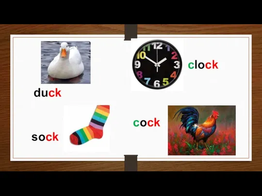 duck clock cock sock