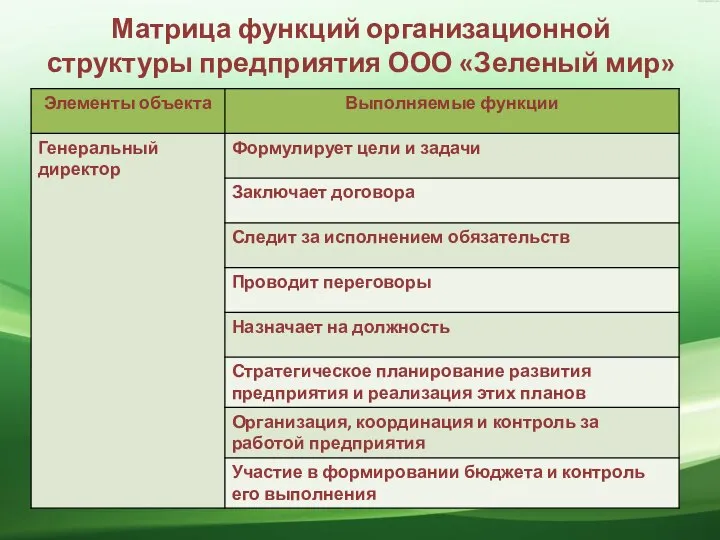 Матрица функций организационной структуры предприятия ООО «Зеленый мир»