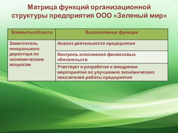 Матрица функций организационной структуры предприятия ООО «Зеленый мир»
