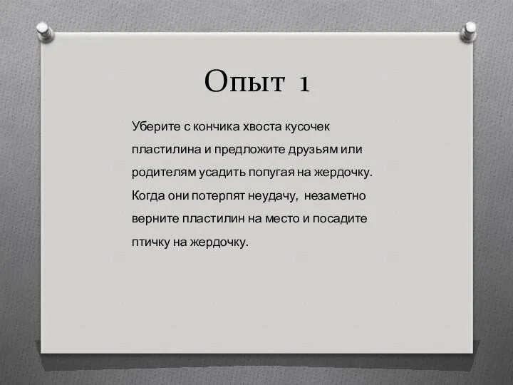 Опыт 1 Уберите с кончика хвоста кусочек пластилина и предложите друзьям