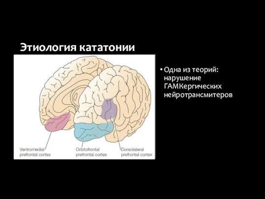 Этиология кататонии Одна из теорий: нарушение ГАМКергических нейротрансмитеров