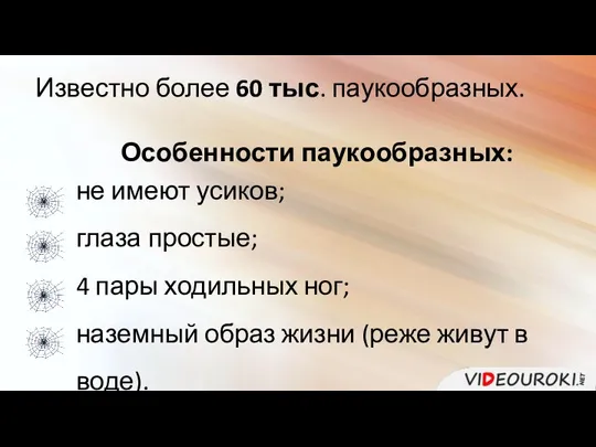 Известно более 60 тыс. паукообразных. Особенности паукообразных: не имеют усиков; глаза