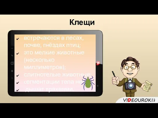 Клещи встречаются в лесах, почве, гнёздах птиц; это мелкие животные (несколько