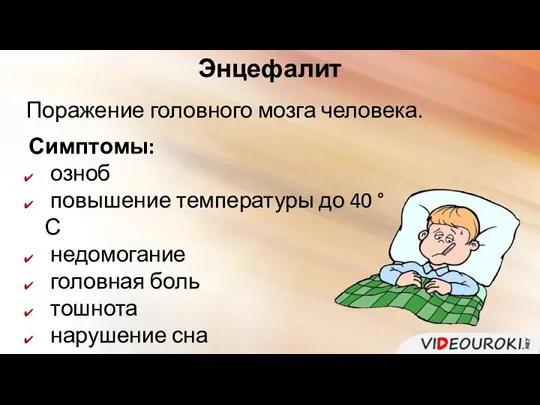 Энцефалит Поражение головного мозга человека. Симптомы: озноб повышение температуры до 40