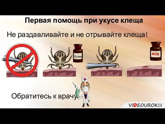 Первая помощь при укусе клеща Не раздавливайте и не отрывайте клеща! Крем Обратитесь к врачу.