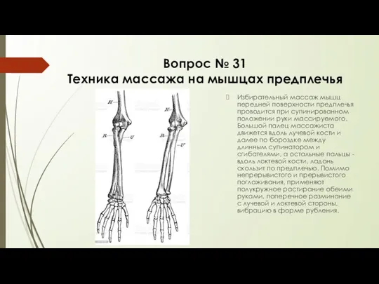 Вопрос № 31 Техника массажа на мышцах предплечья Избирательный массаж мышц