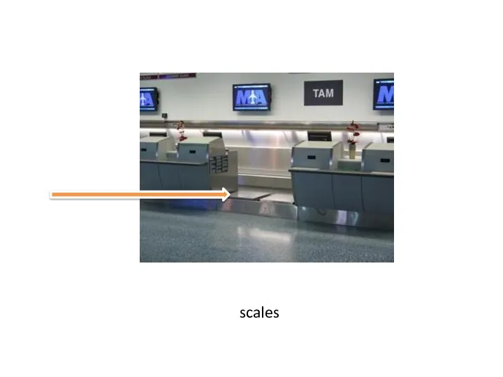 scales