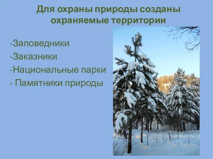 Для охраны природы созданы охраняемые территории Заповедники Заказники Национальные парки Памятники природы