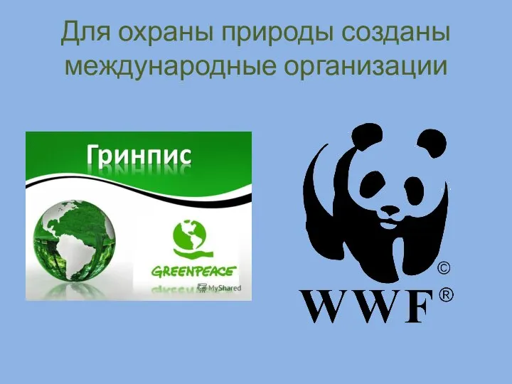 Для охраны природы созданы международные организации