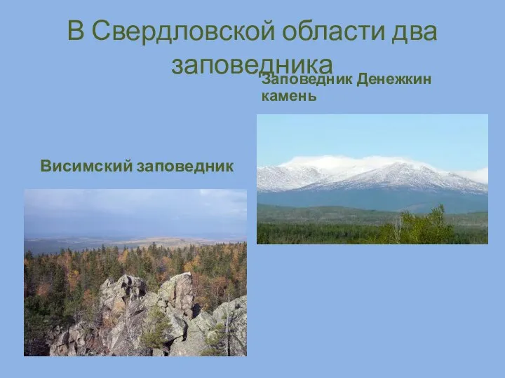 В Свердловской области два заповедника Висимский заповедник Заповедник Денежкин камень